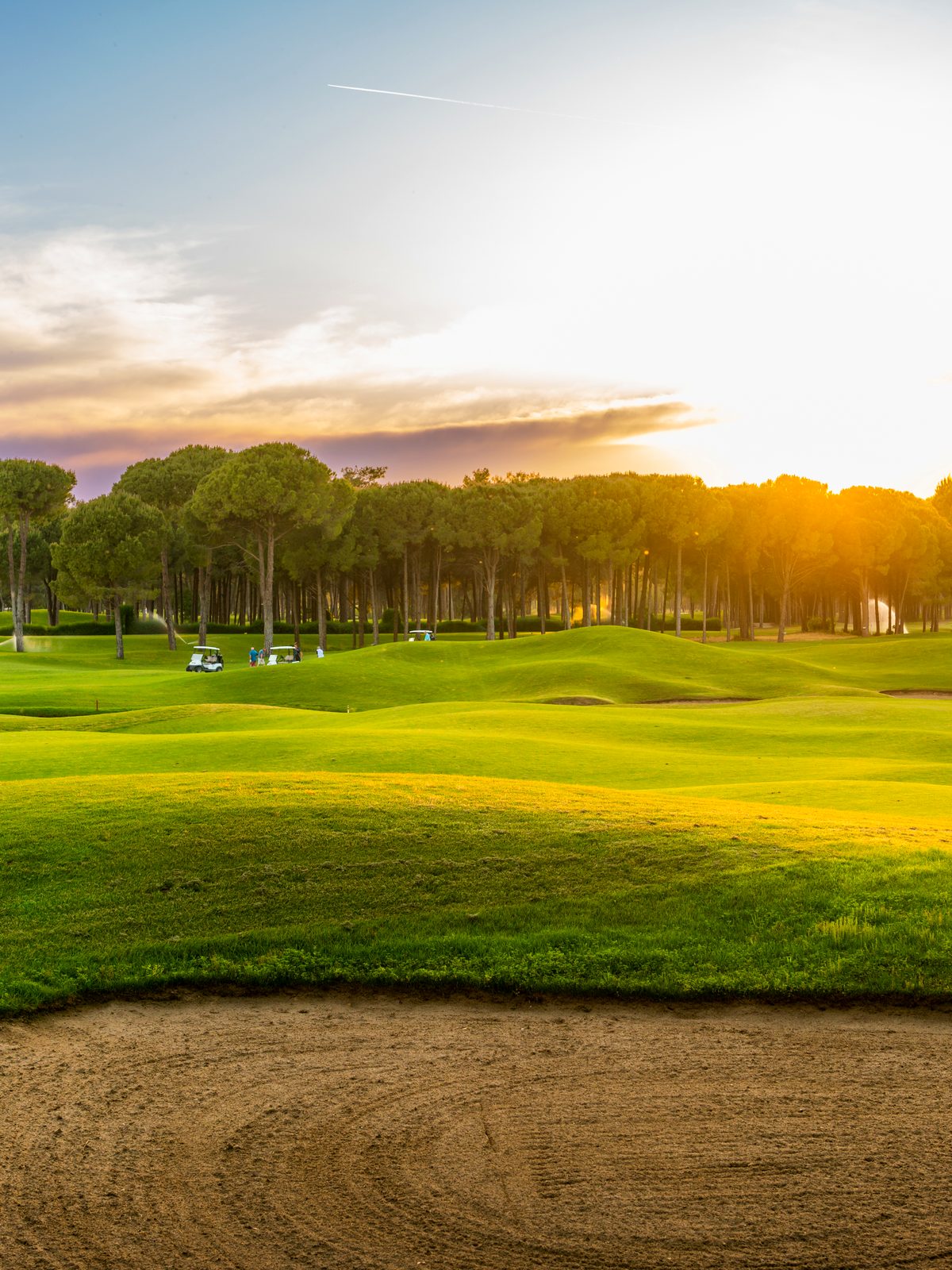 Low evening sun raking across a manicured fairway, pines in silhouette